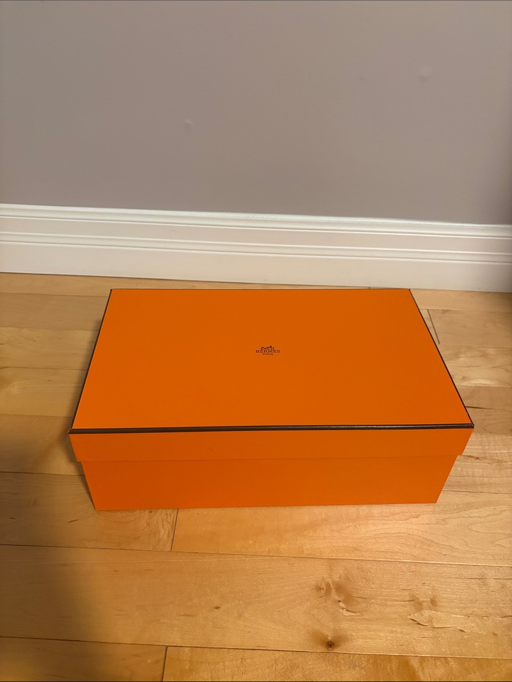 Hermès Orange Shoe Box